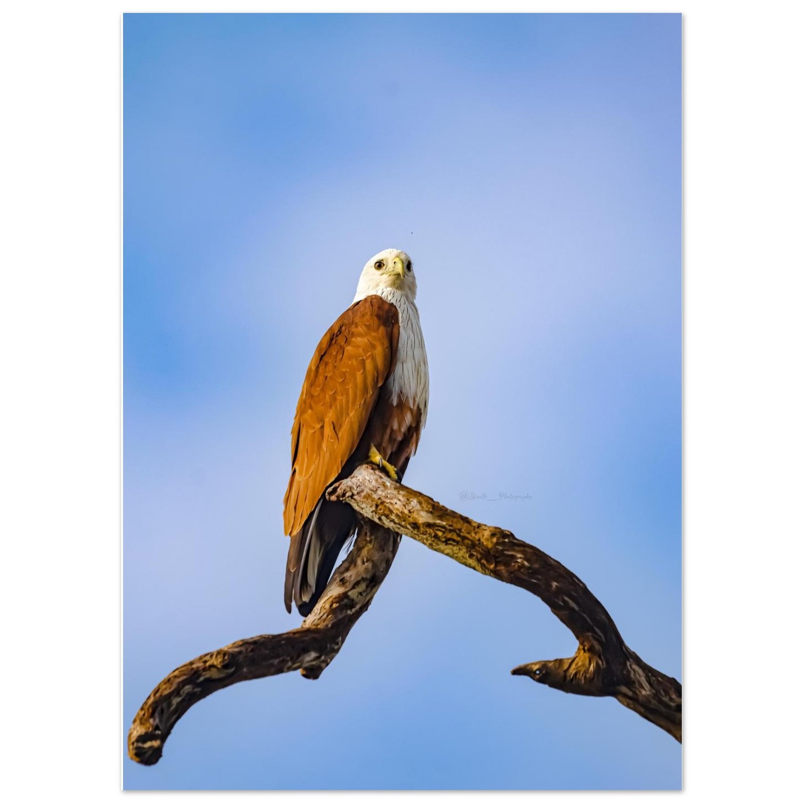 7725530f-de35-4804-ae7e-36ce060dc4f4